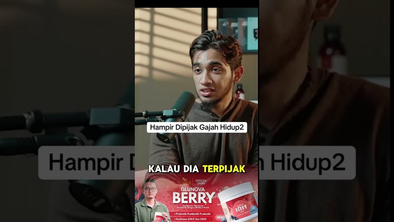 Gajah menyelinap di tapak khemah #ShopeeYTDeals